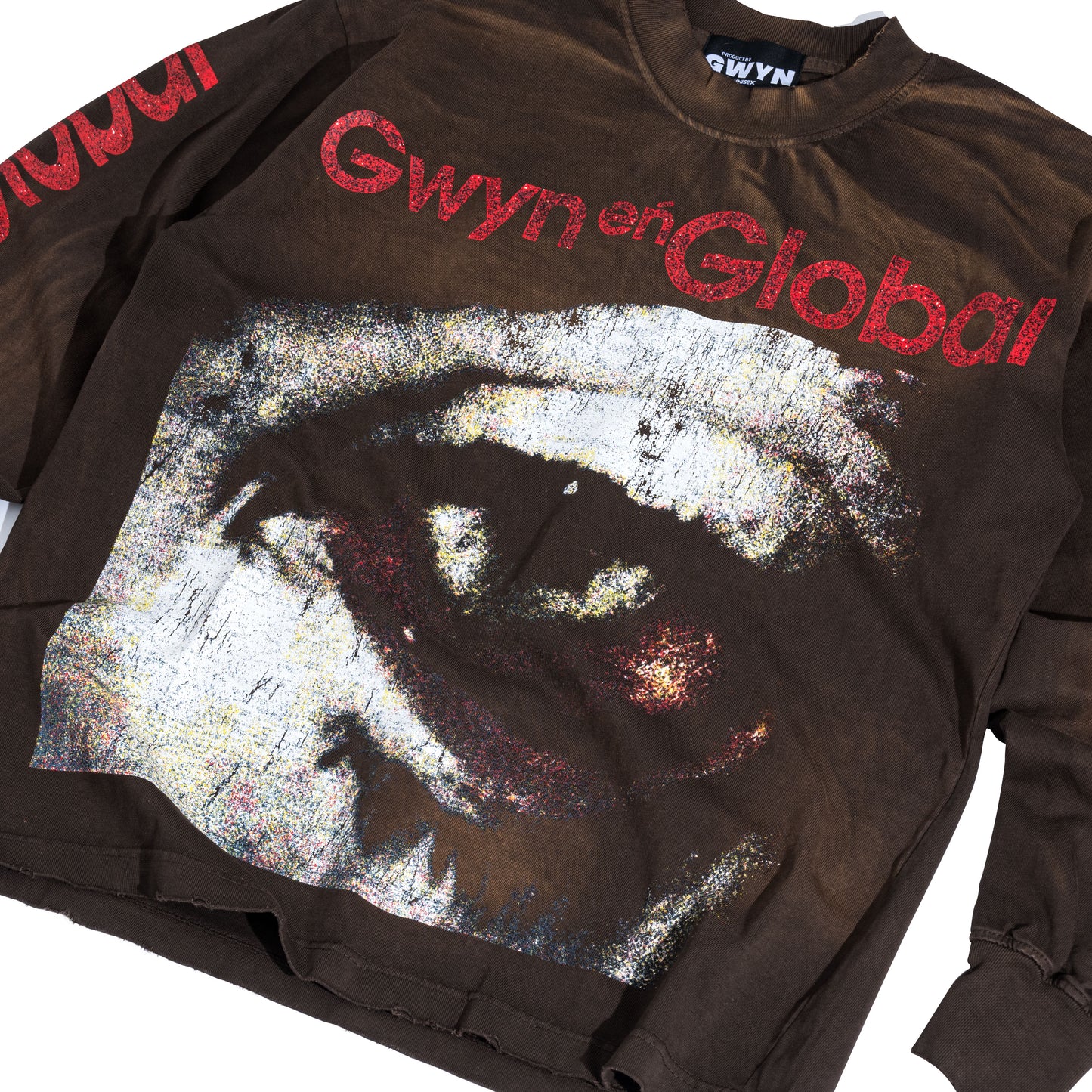 GWYN GLOBAL VISION LONG SLEEVED T-SHIRT/ WASHED BROWN
